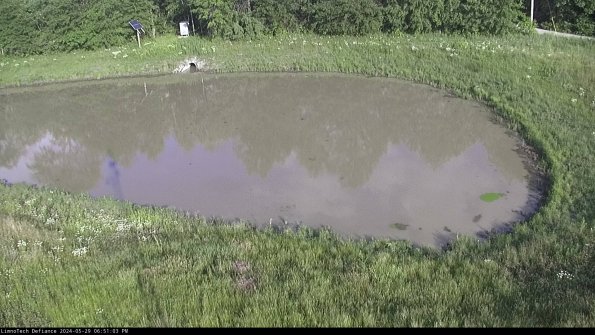 Basin Right_24-05-29_18-51-04-33