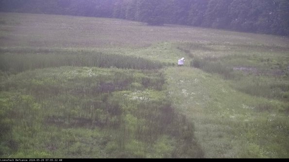 Cell 1 to 2_24-05-29_07-05-23-34