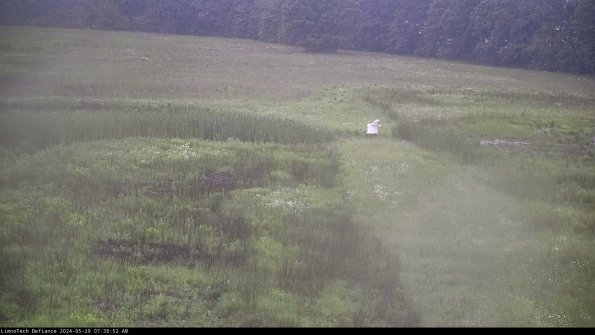 Cell 1 to 2_24-05-29_07-38-53-36