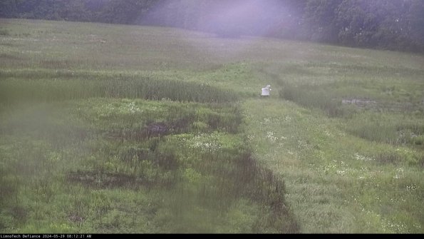 Cell 1 to 2_24-05-29_08-12-22-34