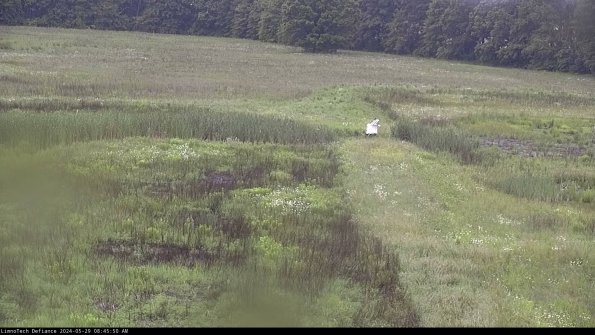 Cell 1 to 2_24-05-29_08-45-51-32