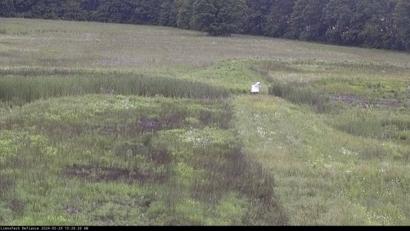 Cell 1 to 2_24-05-29_10-26-21-35