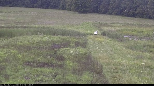 Cell 1 to 2_24-05-29_10-59-51-33