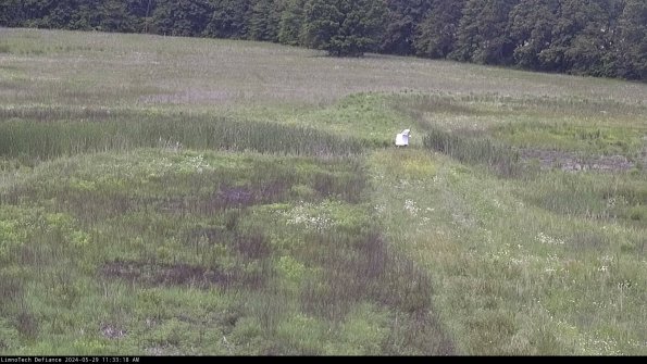 Cell 1 to 2_24-05-29_11-33-19-32