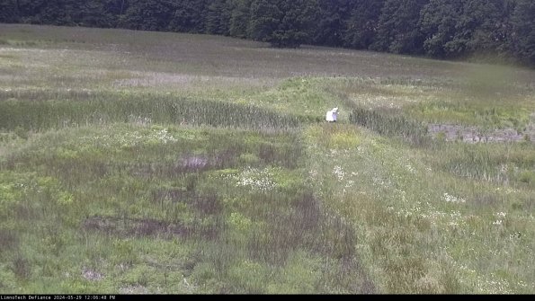 Cell 1 to 2_24-05-29_12-06-49-34