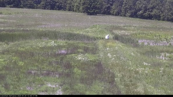 Cell 1 to 2_24-05-29_12-40-18-33