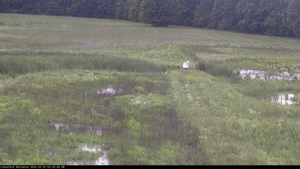 Cell 1 to 2_24-05-29_14-20-49-32