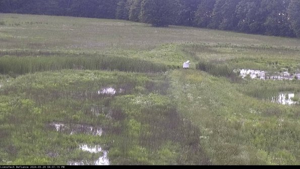 Cell 1 to 2_24-05-29_16-01-16-32