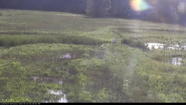 Cell 1 to 2_24-05-29_18-48-44-35