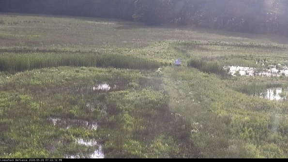 Cell 1 to 2_24-05-29_19-22-13-34