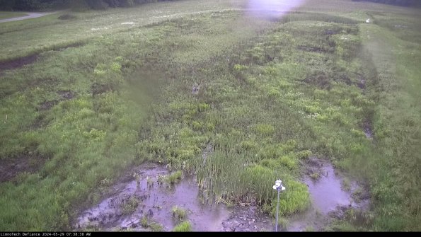 Cell 1_24-05-29_07-38-39-34