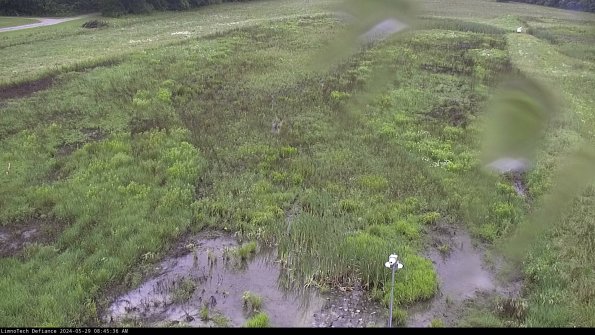 Cell 1_24-05-29_08-45-37-34