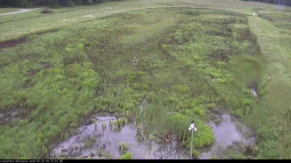 Cell 1_24-05-29_09-19-08-33