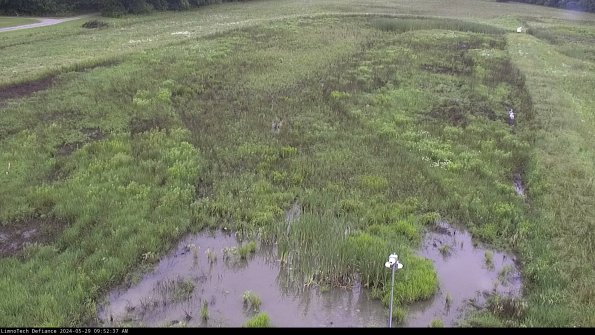 Cell 1_24-05-29_09-52-38-35