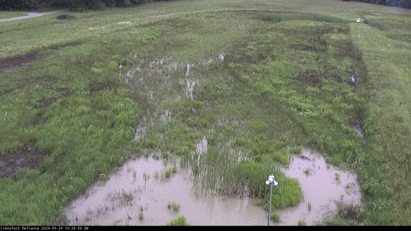 Cell 1_24-05-29_10-26-07-33