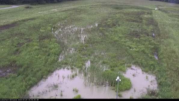 Cell 1_24-05-29_10-59-37-35