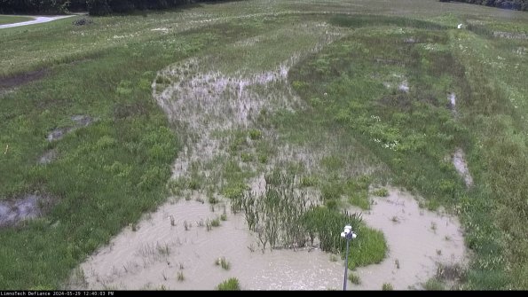 Cell 1_24-05-29_12-40-04-35