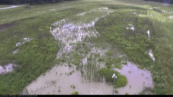 Cell 1_24-05-29_14-20-35-31