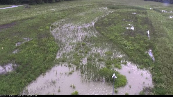 Cell 1_24-05-29_15-27-33-35