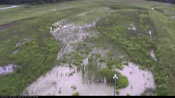 Cell 1_24-05-29_17-08-00-34