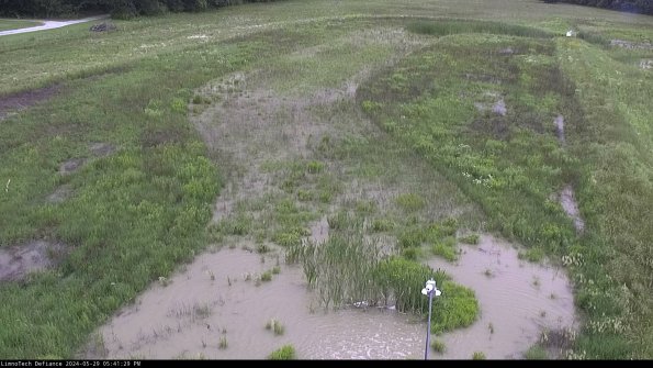 Cell 1_24-05-29_17-41-30-33