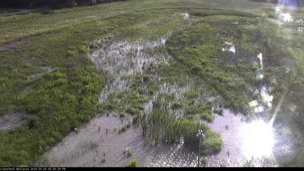 Cell 1_24-05-29_18-48-30-34