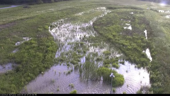 Cell 1_24-05-29_19-21-59-32