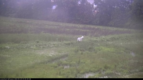 Cell 2 to 3_24-05-29_07-05-49-46