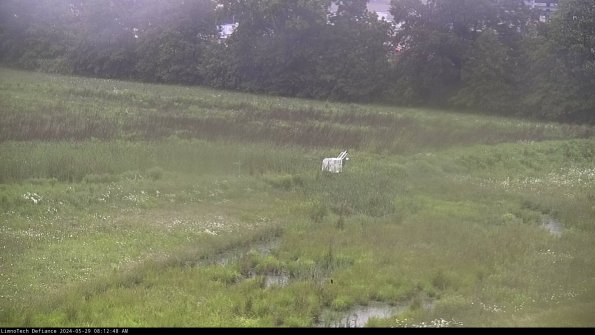 Cell 2 to 3_24-05-29_08-12-48-50