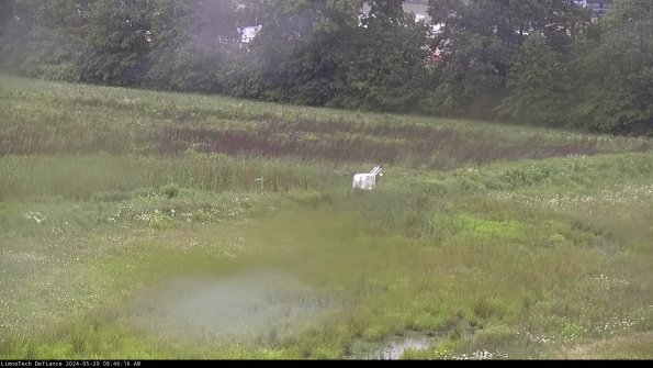 Cell 2 to 3_24-05-29_08-46-17-38