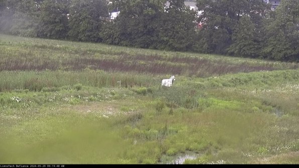 Cell 2 to 3_24-05-29_09-19-48-54