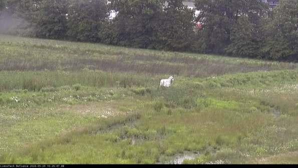 Cell 2 to 3_24-05-29_10-26-47-47