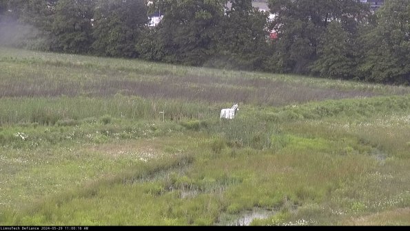 Cell 2 to 3_24-05-29_11-00-17-36