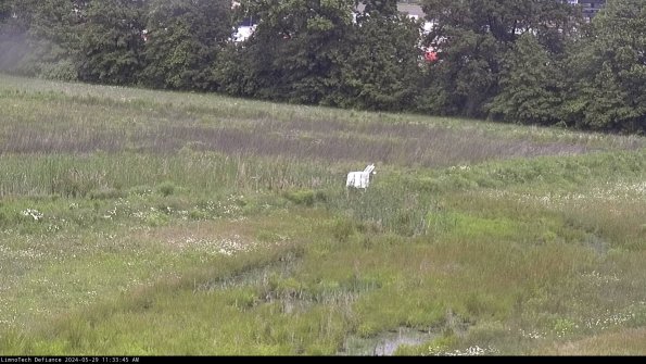 Cell 2 to 3_24-05-29_11-33-45-54