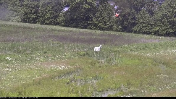 Cell 2 to 3_24-05-29_12-07-15-33