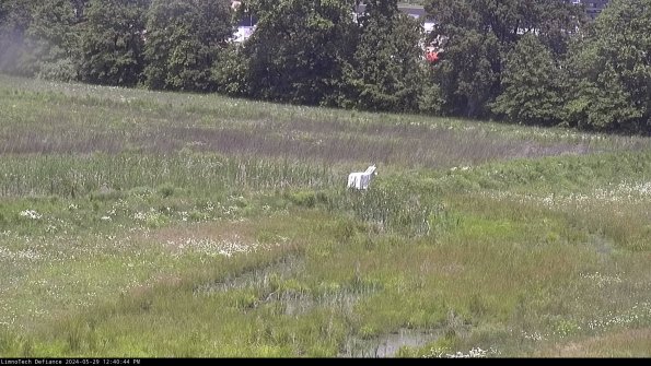 Cell 2 to 3_24-05-29_12-40-44-45