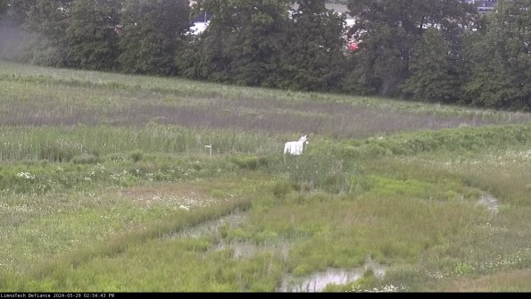 Cell 2 to 3_24-05-29_14-54-43-54