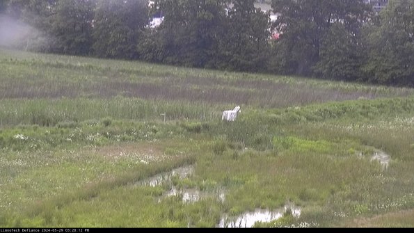 Cell 2 to 3_24-05-29_15-28-13-42