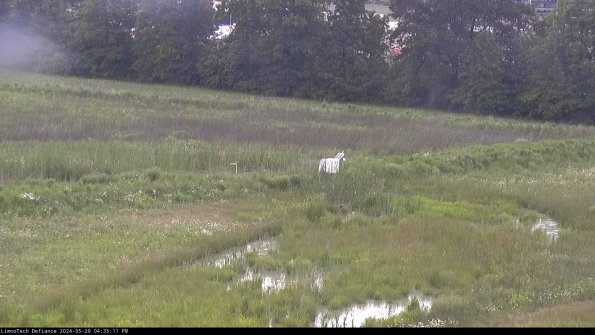 Cell 2 to 3_24-05-29_16-35-12-40