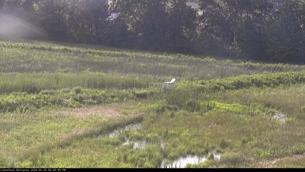 Cell 2 to 3_24-05-29_18-49-10-38