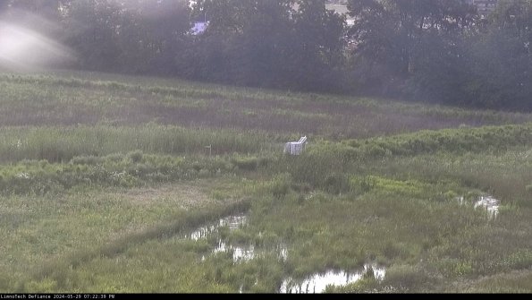 Cell 2 to 3_24-05-29_19-22-39-46