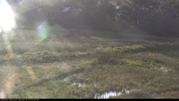 Cell 2 to 3_24-05-29_19-56-09-48