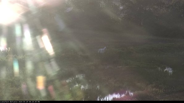 Cell 2 to 3_24-05-29_20-29-40-44