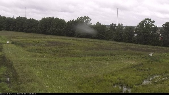 Cell 2_24-05-29_10-26-34-36