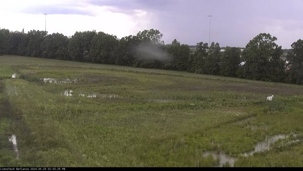 Cell 2_24-05-29_14-54-30-42