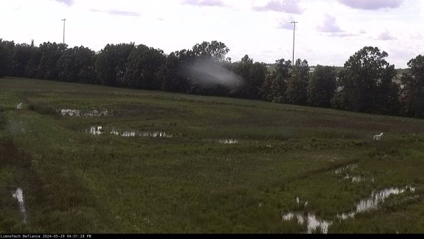 Cell 2_24-05-29_16-01-29-43