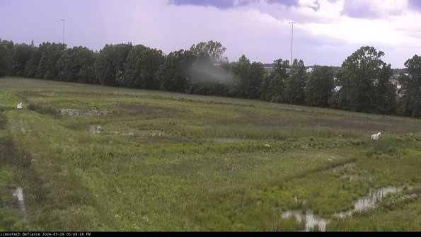 Cell 2_24-05-29_17-08-27-40