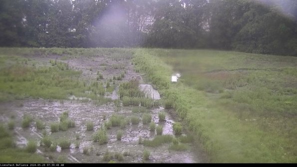 Cell 3 to 4_24-05-29_07-39-47-34