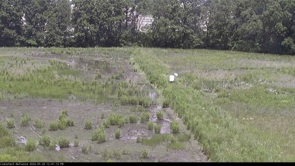 Cell 3 to 4_24-05-29_12-41-13-35