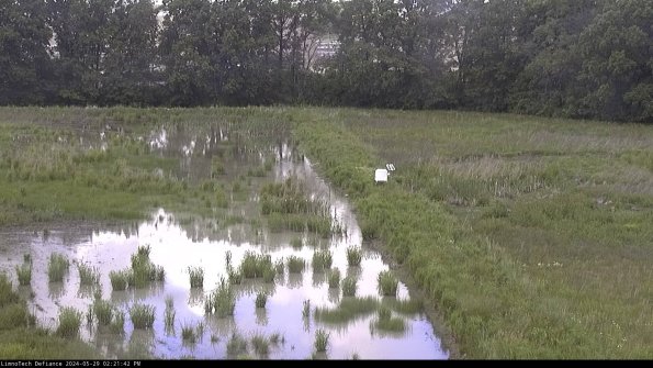 Cell 3 to 4_24-05-29_14-21-43-35